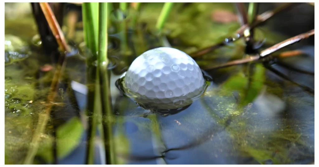 Golf Ball Diver